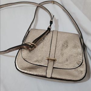 GAP Metallic Purse and Belt